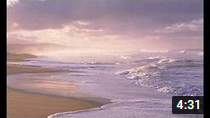 IL MARE DELLE MUSE